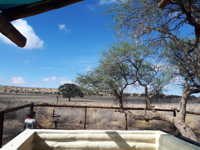 Magic of the Kalahari - Grootkolk Wilderness Camp, Kgalagadi, View towards the waterhole