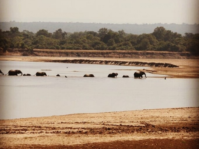 Wildlife Camp, Zambia self drive