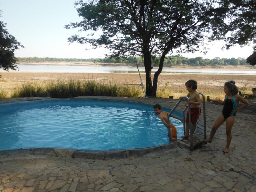 Wildlife Camp, South Luangwa Zambia, pool, kids Wildlife Camp, South Luangwa Zambia, pool, kids