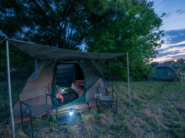 Essential Botswana, fall asleep to the sounds of Africa