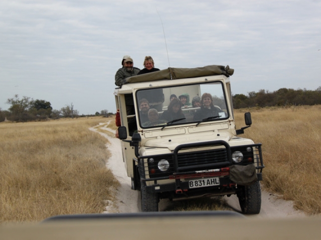 Essential Botswana, early morning game drive in Moremi