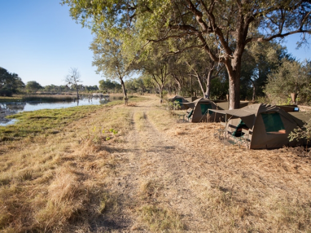 Essential Botswana, campsite in Moremi