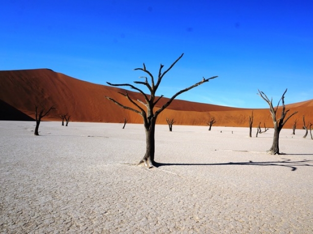 Sossusvlei dunes, Dead vlei, Namibia