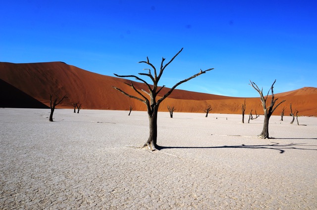 Deadvlei, Namibia holiday