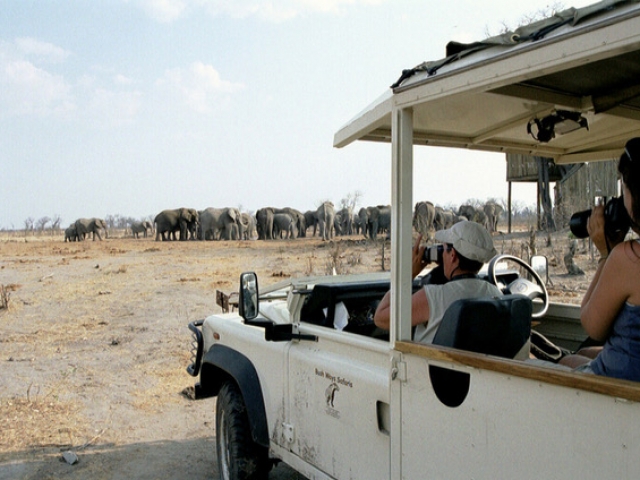 Essential Botswana, Savute