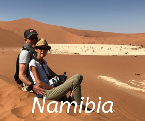 Travel itineraries southern Africa -Namibia, elephant