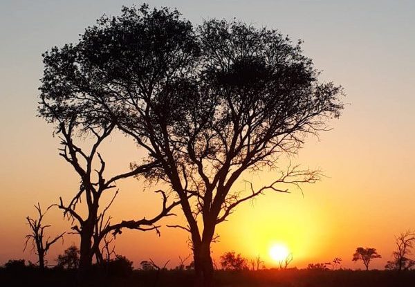 Kruger sunrise