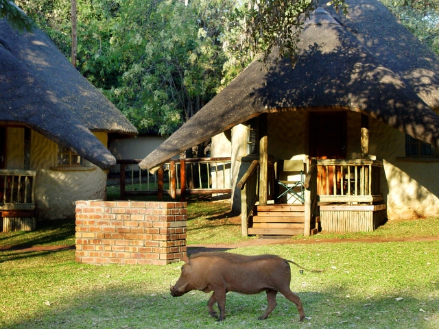 Watch out for the wildlife, Chobe Safari Lodge, Botswana