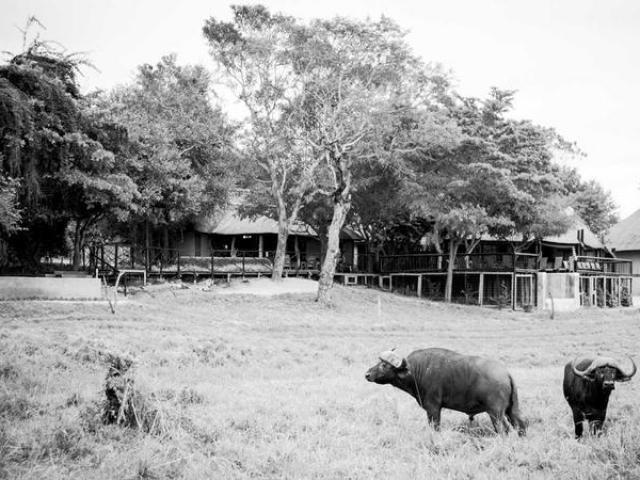 Umkumbe Safari Lodge, right on the Sabi River