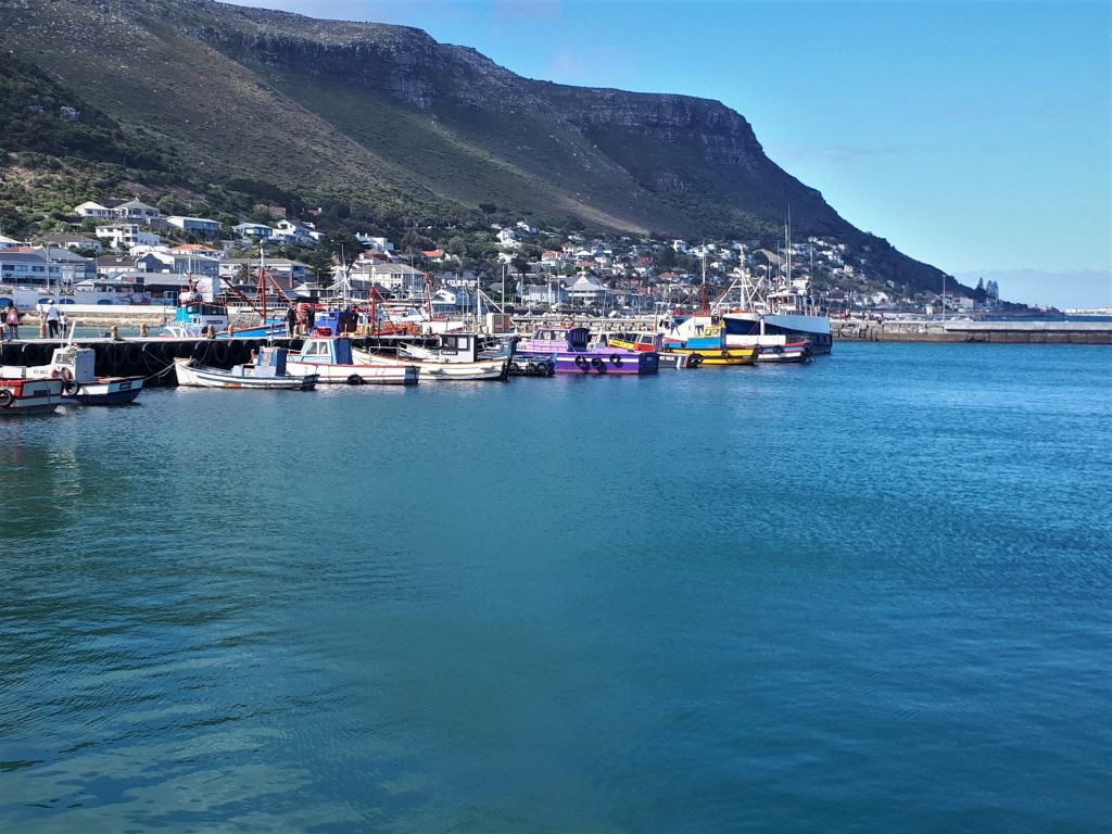 Kalk bay harbour - Cape Point self drive