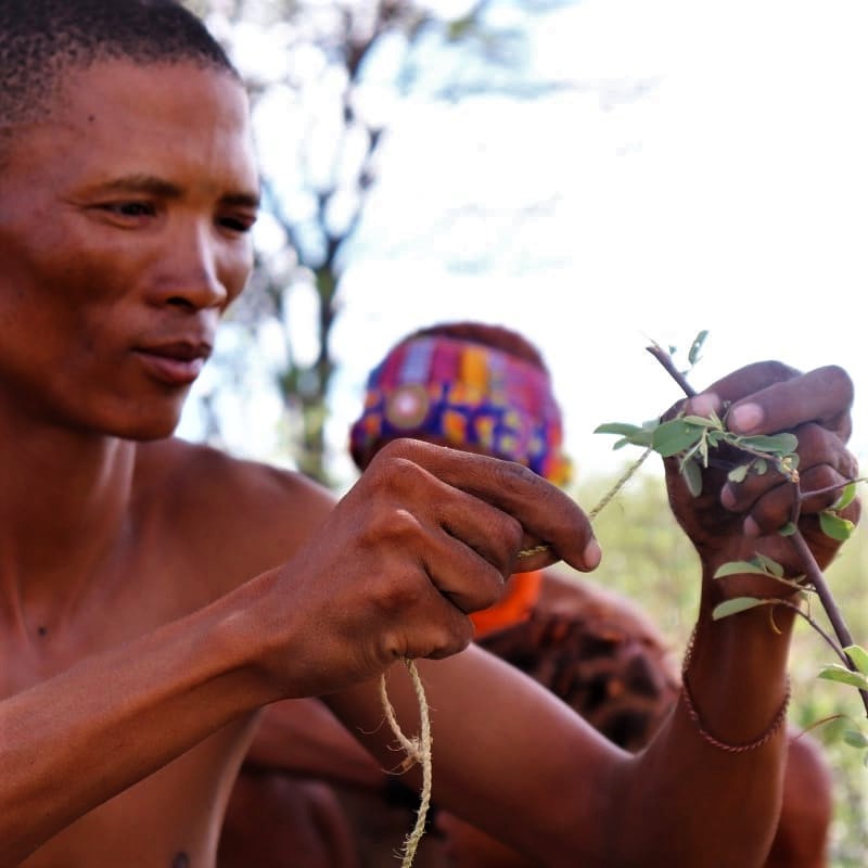 Learning how to make a bird snare