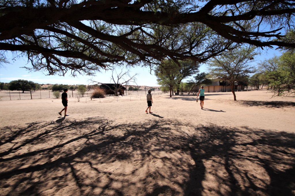 The three siblings walk through the Mata Mata campsite towards the hide in the Kgalagadi Transfrontier Park