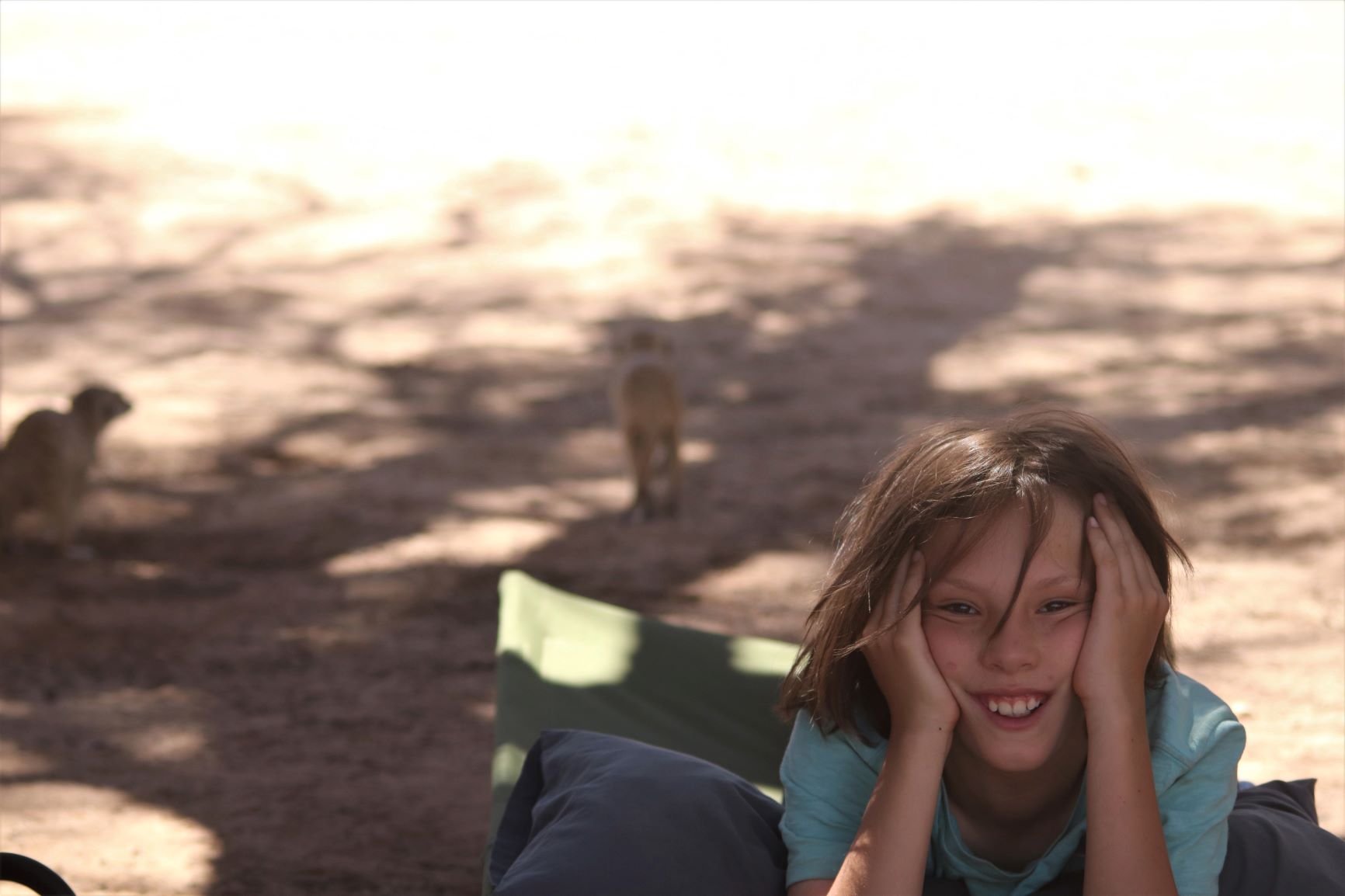 Camping in the Kgalagadi Transfrontier Park