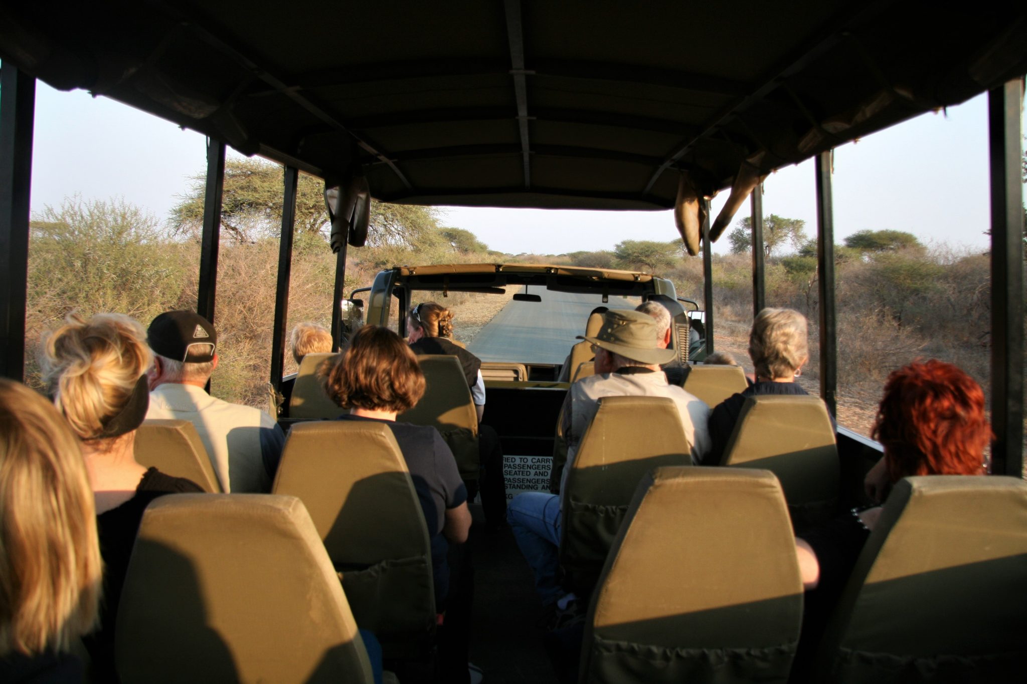 Kruger night drive