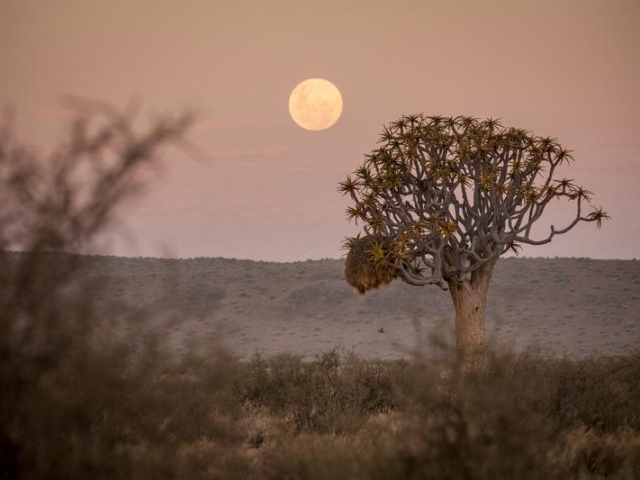 Namibia Wonders - Sunset
