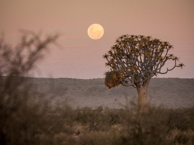 Namibia Wonders - Sunset