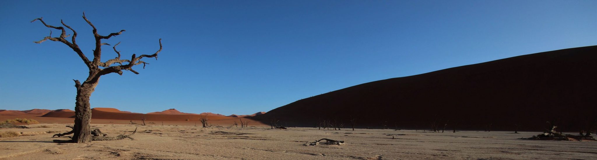 Dead vlei, Namibia