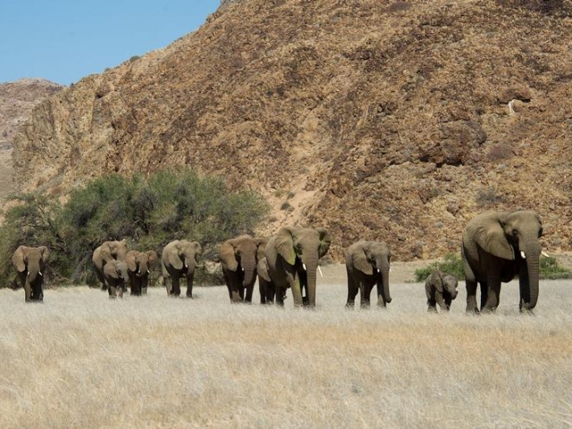 Namibia Wonders - Damaraland