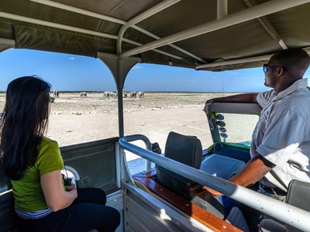 Etosha Safari Camp, Etosha, Namibia family holiday, guided game drive