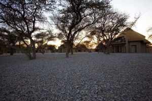 Okaukuejo, Etosha, Namibia