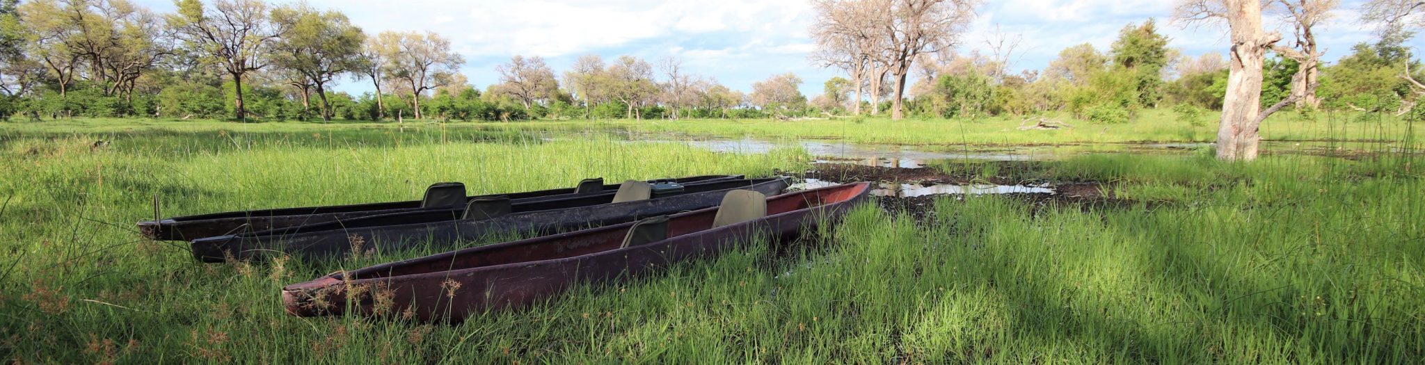 Okavango Delta mokoro