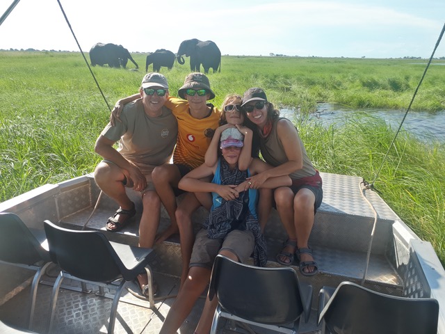Buffalo on the Chobe Rverfront