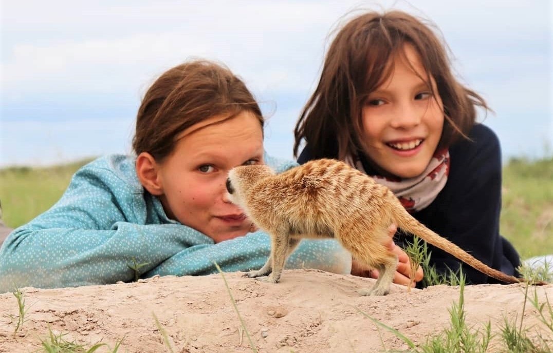 Botswana family safari, meerkat tour
