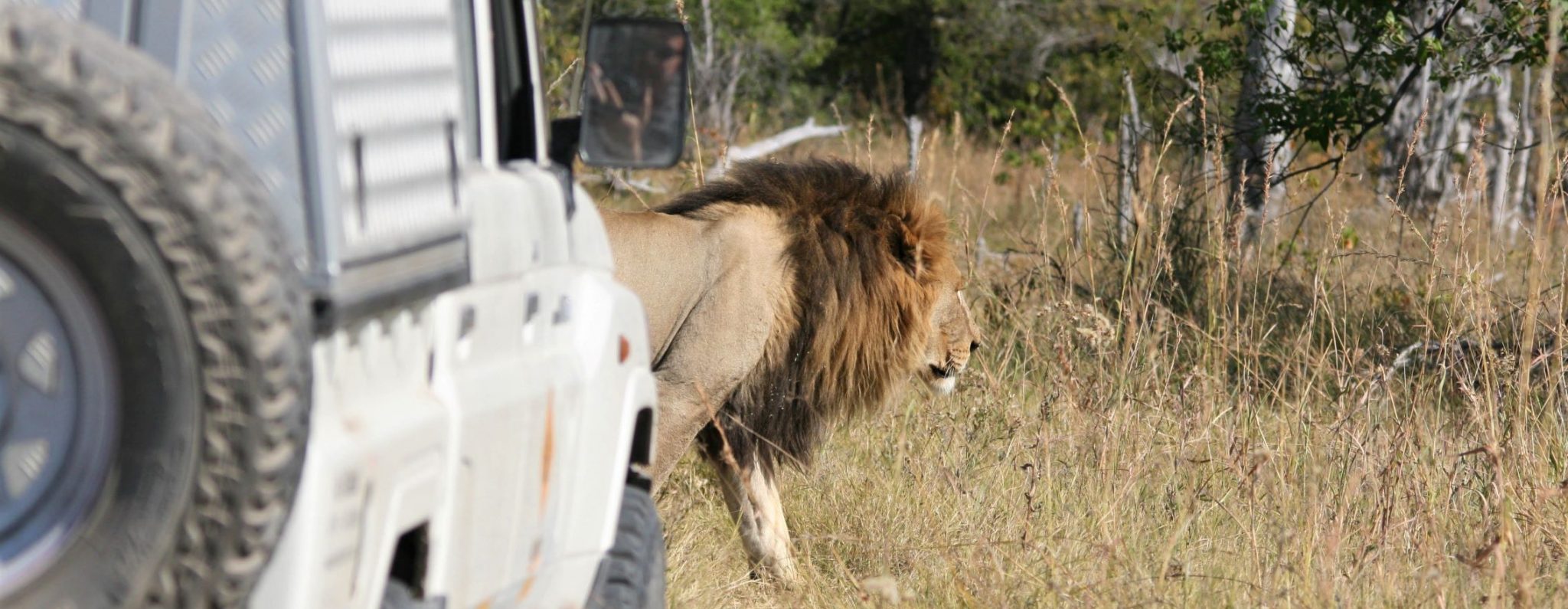 Bittern Botswana Self Drive itineraries