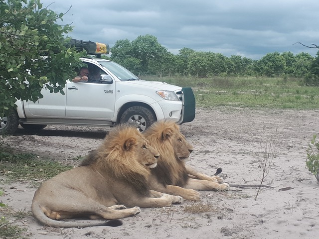 Self-drive travel in southern Africa, Savute, Botswana