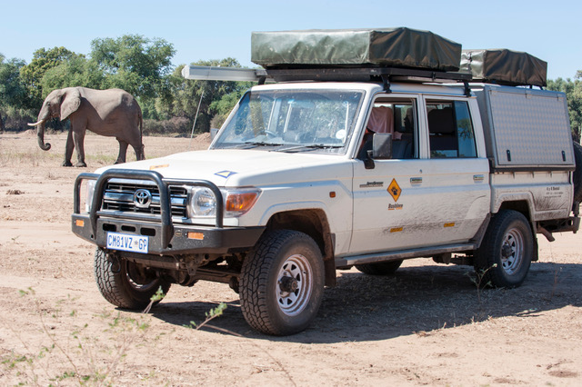 An image of a hired 4WD with roof top tents looking at an elephant in Southern Africa