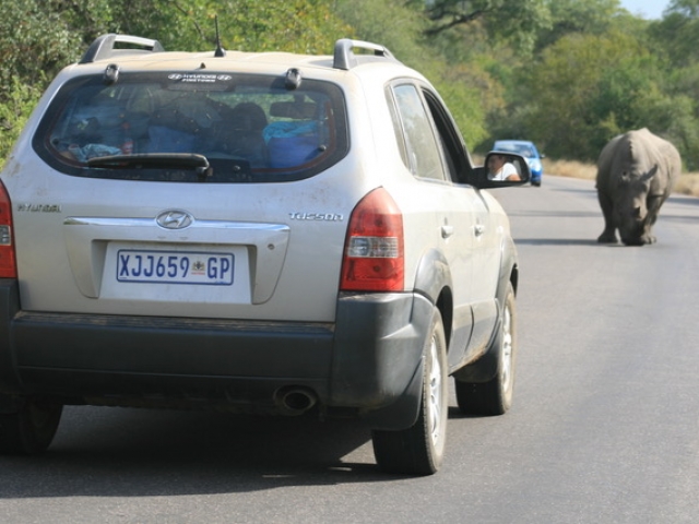 SUV&#039;s give you more luggage space and height when game viewing.