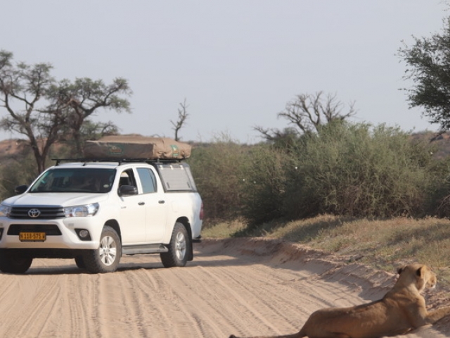 Fully equipped camping 4x4 vehicle - game viewing, Kgalagadi Transfrontier Park, South Africa / Botswana.