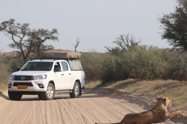 Fully equipped camping 4x4 vehicle - game viewing, Kgalagadi Transfrontier Park, South Africa / Botswana.