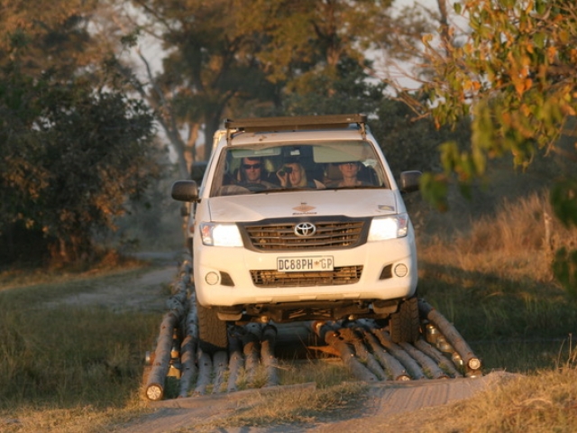 A 4x4 vehicle is a must to explore the game reserves (Moremi, Savute, Chobe and more) of Botswana.