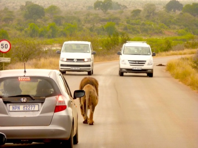 On a budget, then a small sedan vehicle is suitable for Kruger!