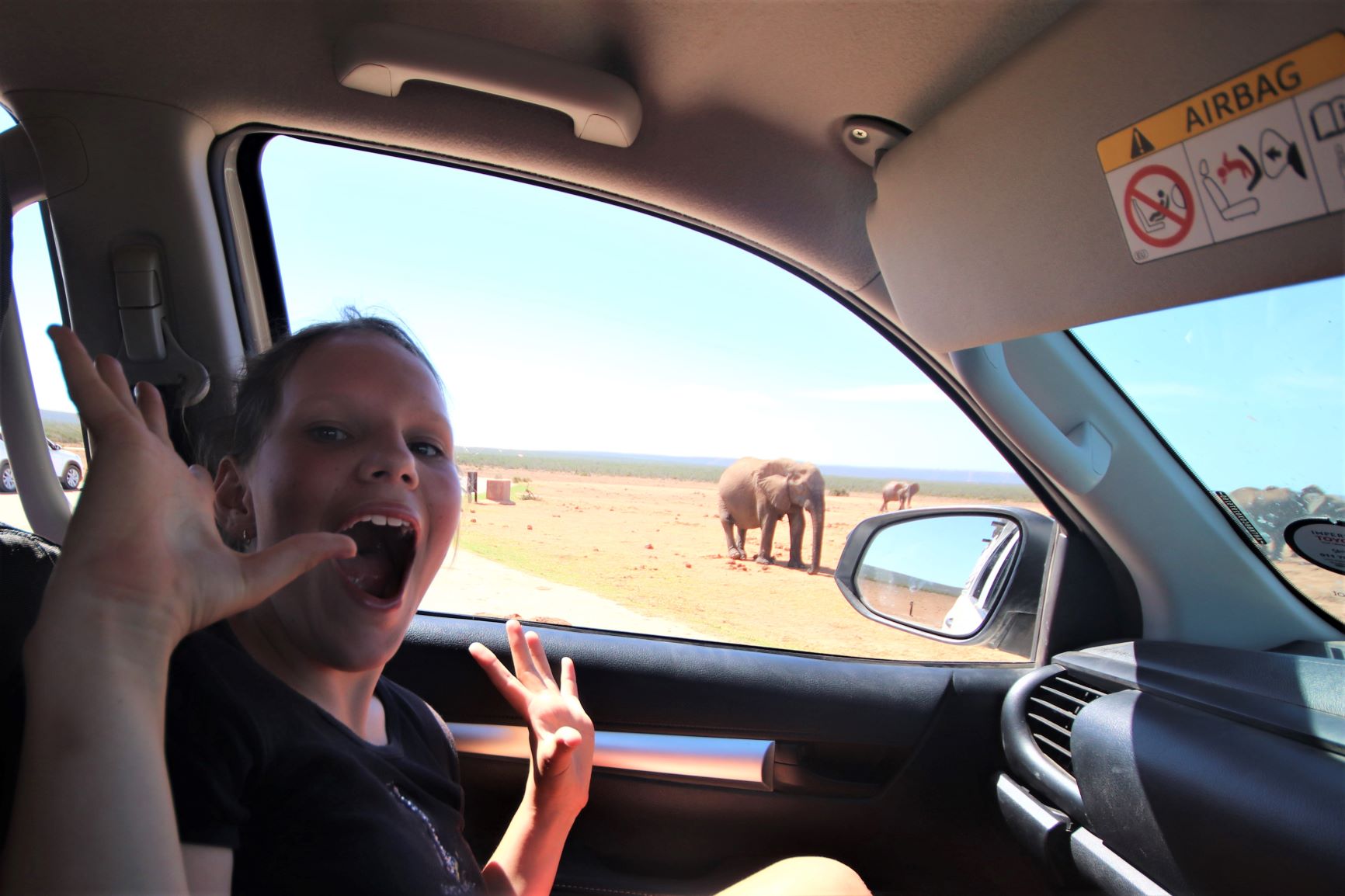 Our daughter Rhian in the front seat of our self drive vehicle acting surprised with a herd of elephant behind her, Addo Elephant Park, South Africa