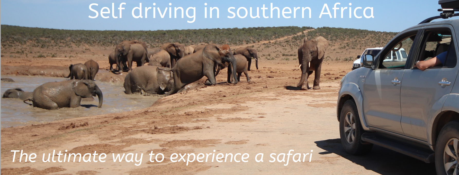 Self drive safari southern Africa