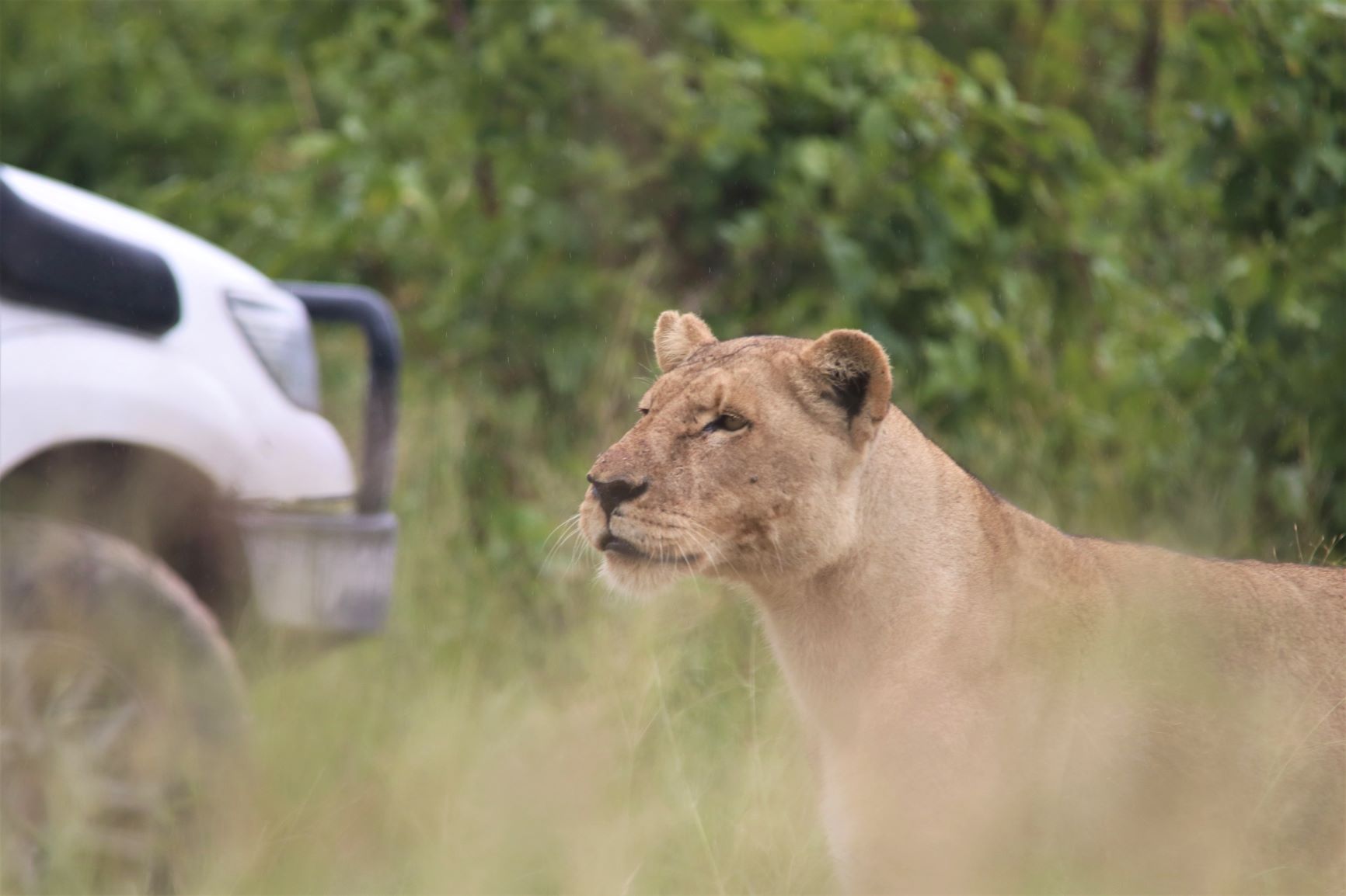 Self drive Botswana