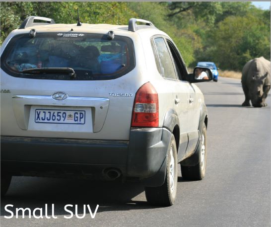 The words 'Small SUV' self drive vehicle options set over an image of small SUV looking at a rhino on the road in Kruger National Park, South Africa