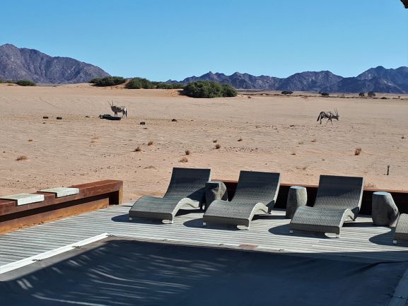 Sossusvlei dune pool with Gembsok in the desert in the background, Southern Africa self-drive accommodation options