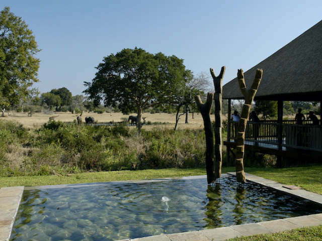 Sabi Sabi Pool