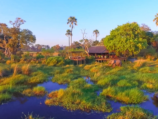 Delta Camp, Okavango Delta Family Tour