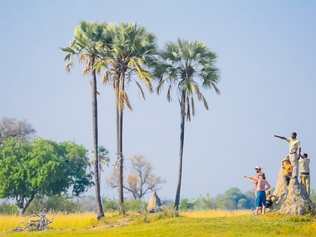 Delta Camp, Okavango Delta Family Tour, dedicated guides