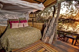 Delta Camp - Treehouse, Okavango Delta, Botswana