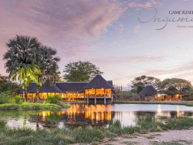 Onguma Bush Camp, Etosha, Namibia family holiday, waterhole