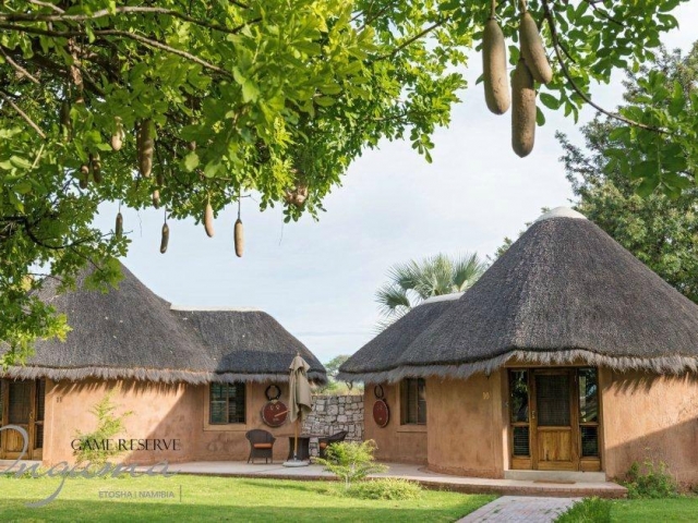 Onguma Bush Camp, Etosha, Namibia family holiday, guest chalets