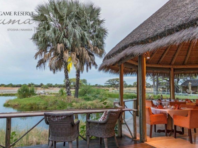 Onguma Bush Camp, Etosha, Namibia family holiday, terrace restaurant