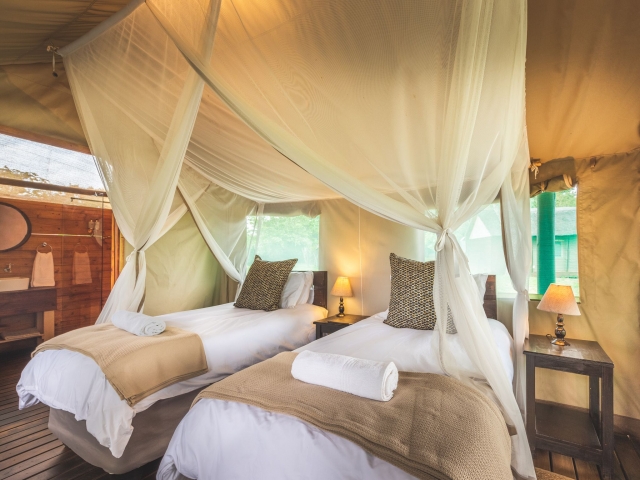 Shindzela Tented Room