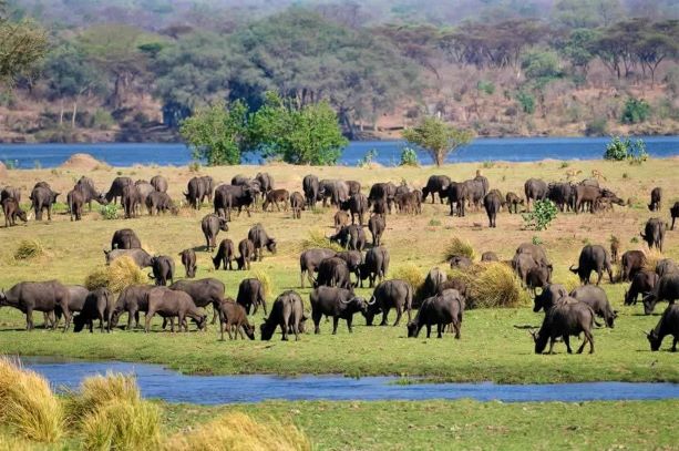 Mana Pools, Zimbabwe