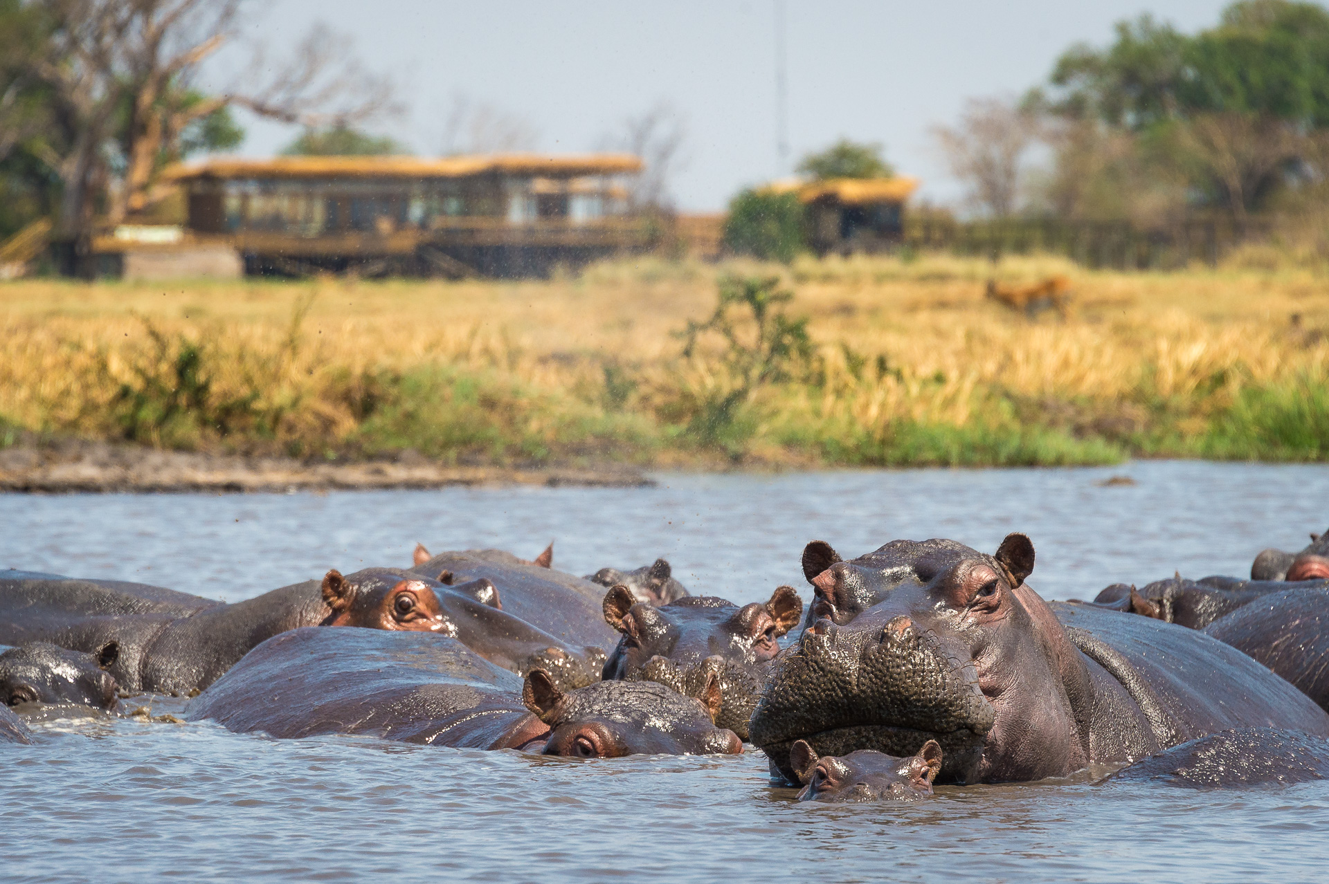 Visit Zambia, Kafue